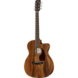 Acoustic Guitars