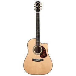 Semi Acoustic Guitars